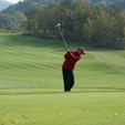 Golf Y
