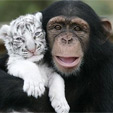 ZOO Liberec