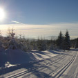 Sjezd do Oldřichova